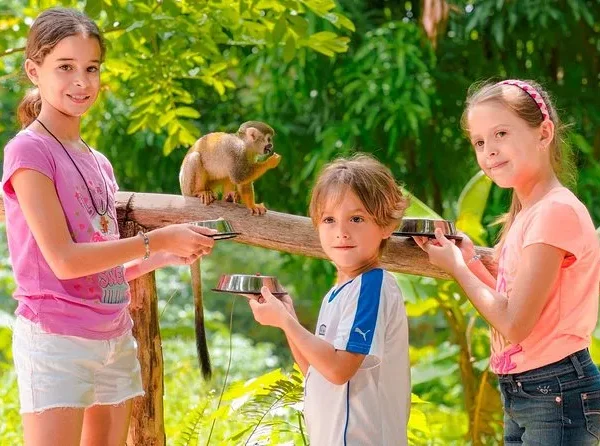 VIP Monkey House en Punta Cana