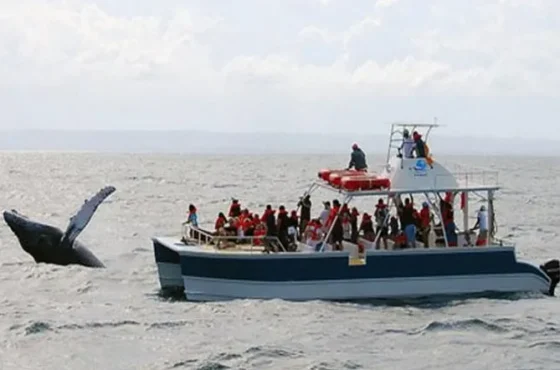 Samana
