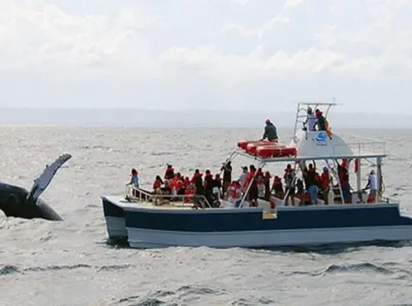 Samana